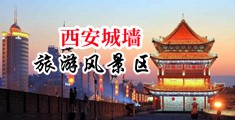 91蝌蚪在线免费播放中国陕西-西安城墙旅游风景区