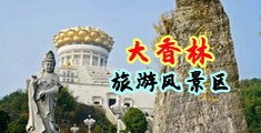 黄色网站骚逼跪舔中国浙江-绍兴大香林旅游风景区